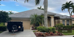 Completed premium tile roof project with palm trees