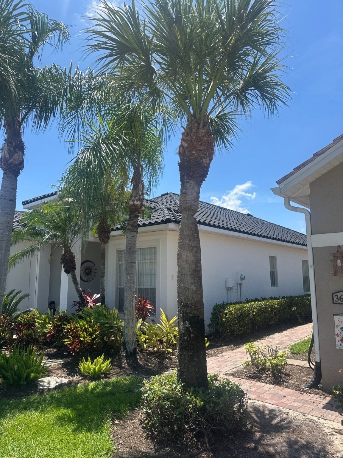 Completed front roof view showing curb appeal enhancement